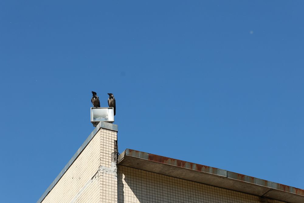 Photograph by Татьяна Пелгонен