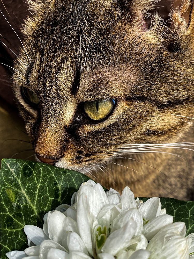 Photograph by Александра Гонтарь