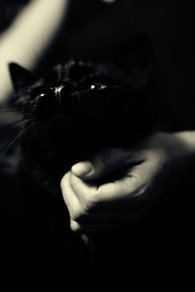 Фотография автора Таша Воскресная