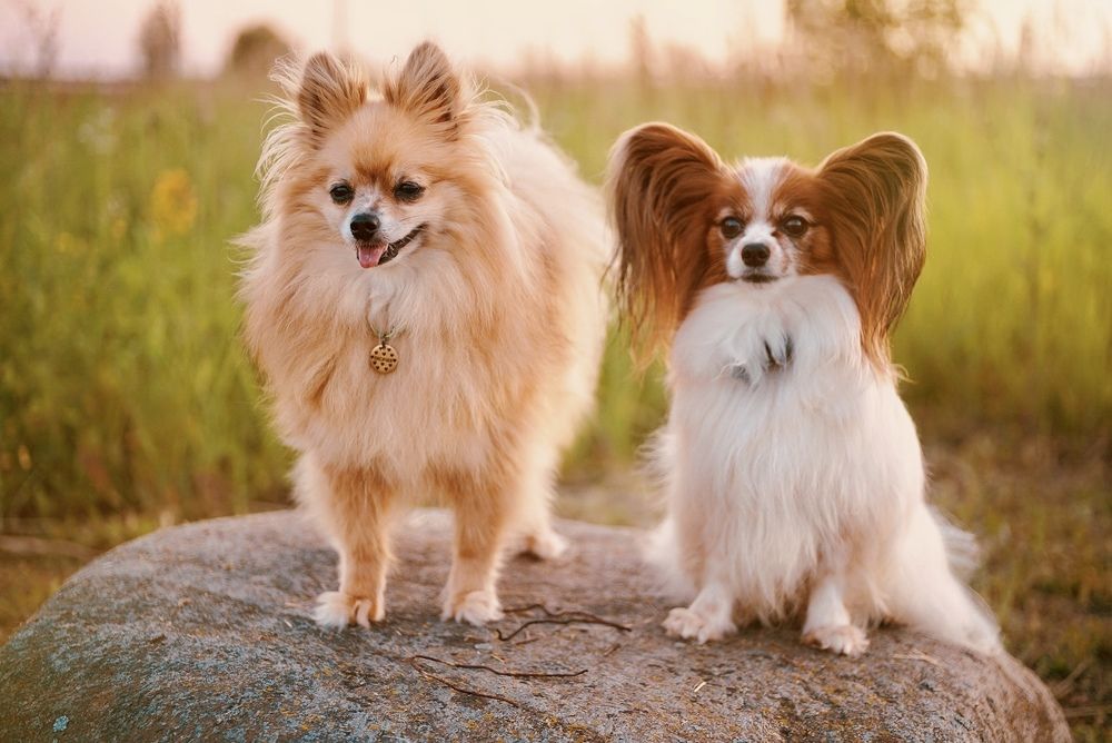 Фотография автора Таша Воскресная