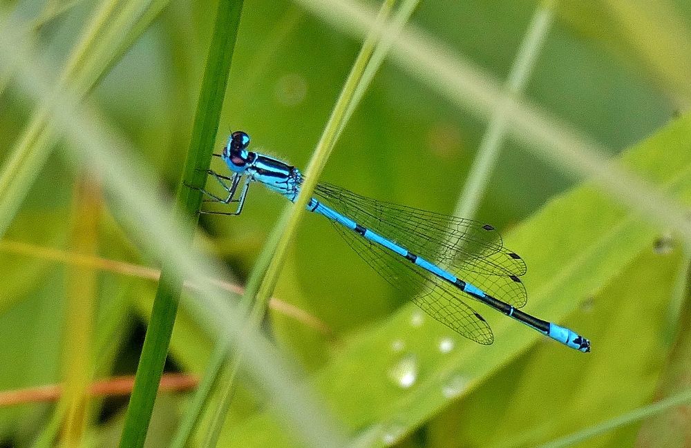 Photograph by backareva irina