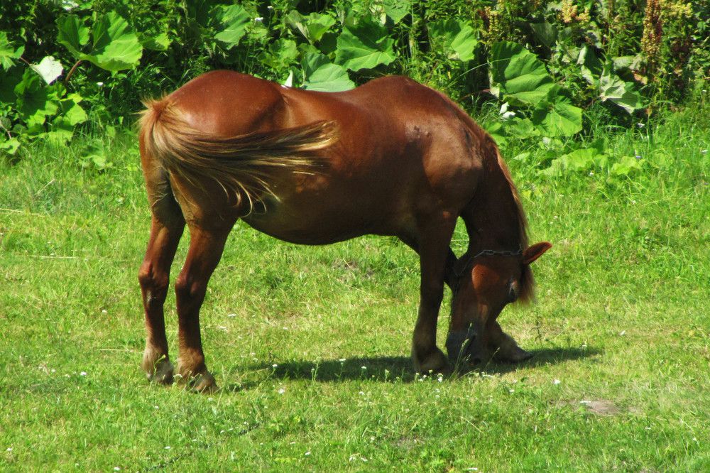 Photograph by Нестеренко Светлана