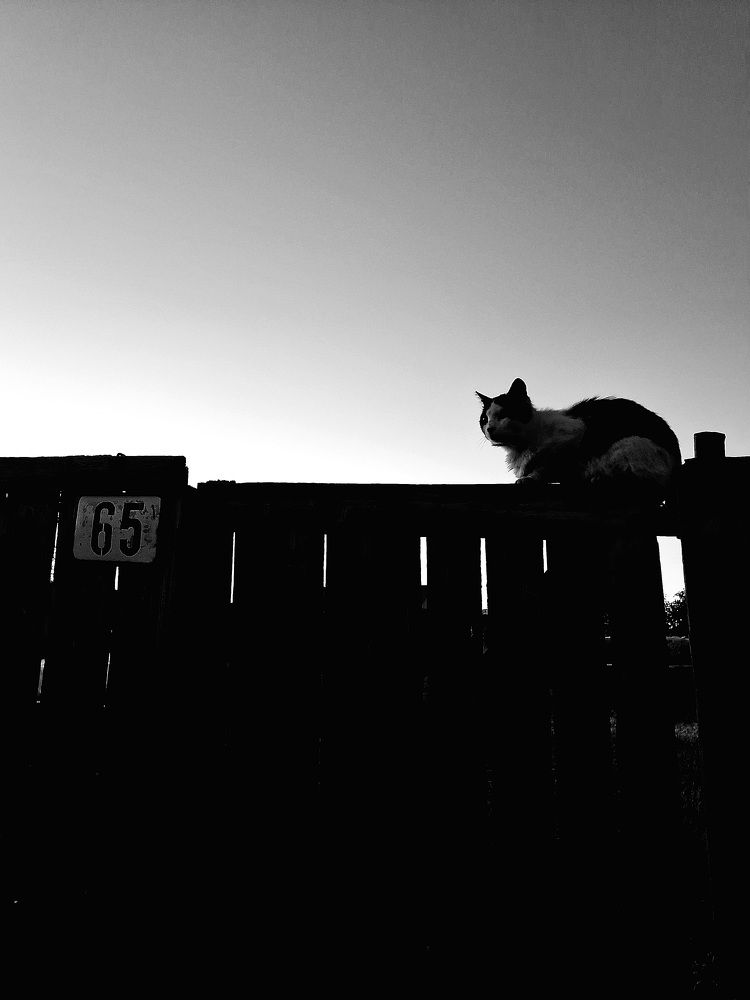 Photograph by Valeriia Honcharova-Horobchenko