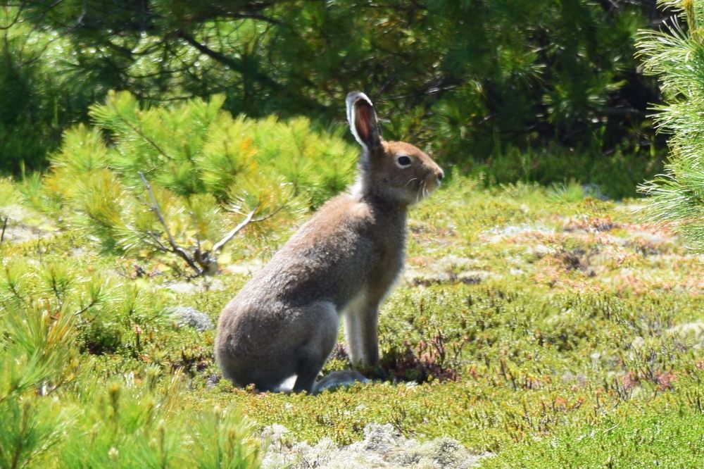 Photograph by Роман Блинов