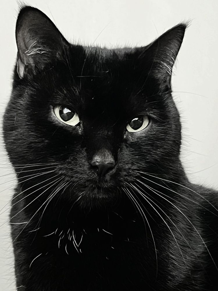 Photograph by Valeriia Honcharova-Horobchenko