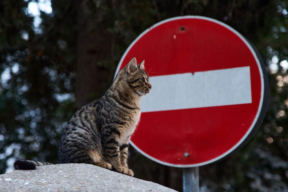Photograph by Дмитрий Солодухин