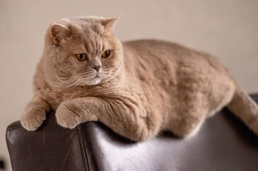 Photograph by Светлана Мнацаканянц