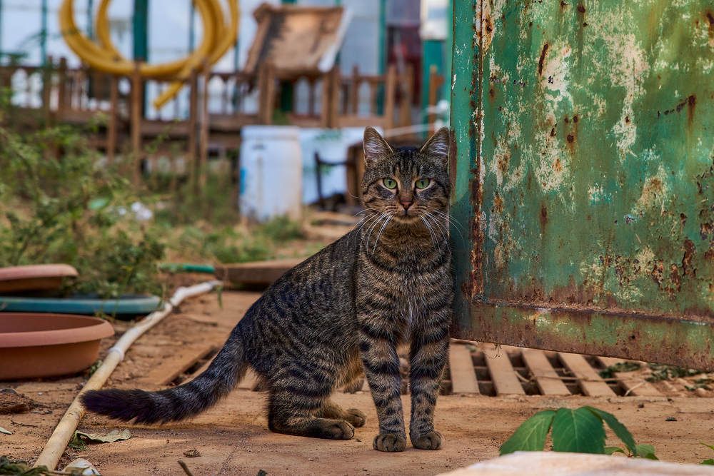 Photograph by Дмитрий Солодухин