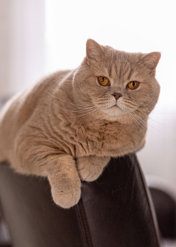 Photograph by Светлана Мнацаканянц