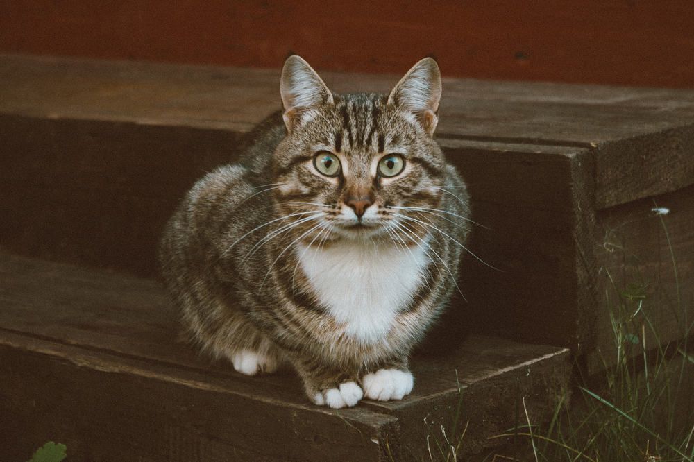 Photograph by Дмитрий Солодухин