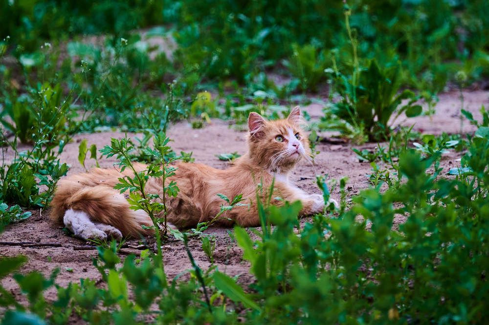 Photograph by Дмитрий Солодухин