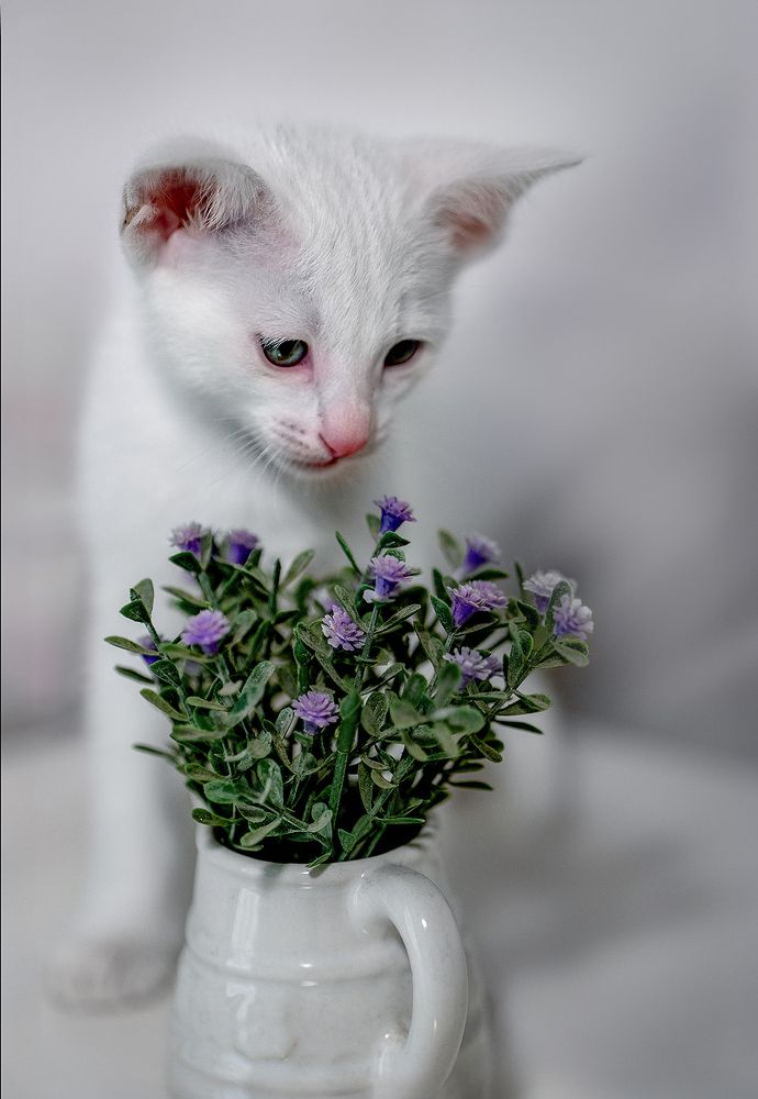 Photograph by Oxana Berezovskaya