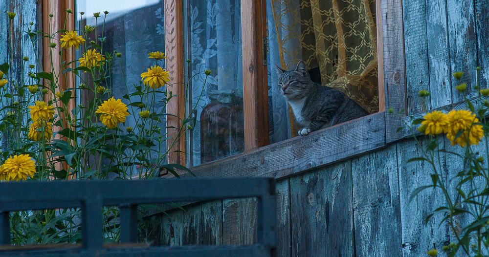 Photograph by Дмитрий Солодухин