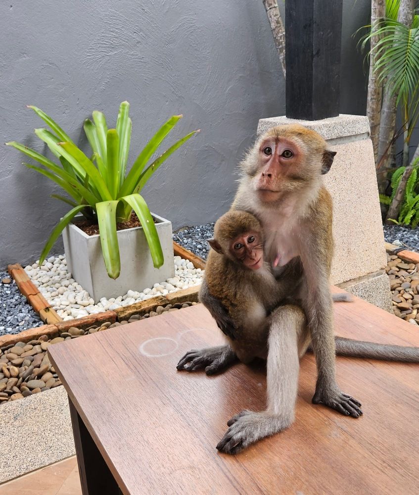 Photograph by Эльвира