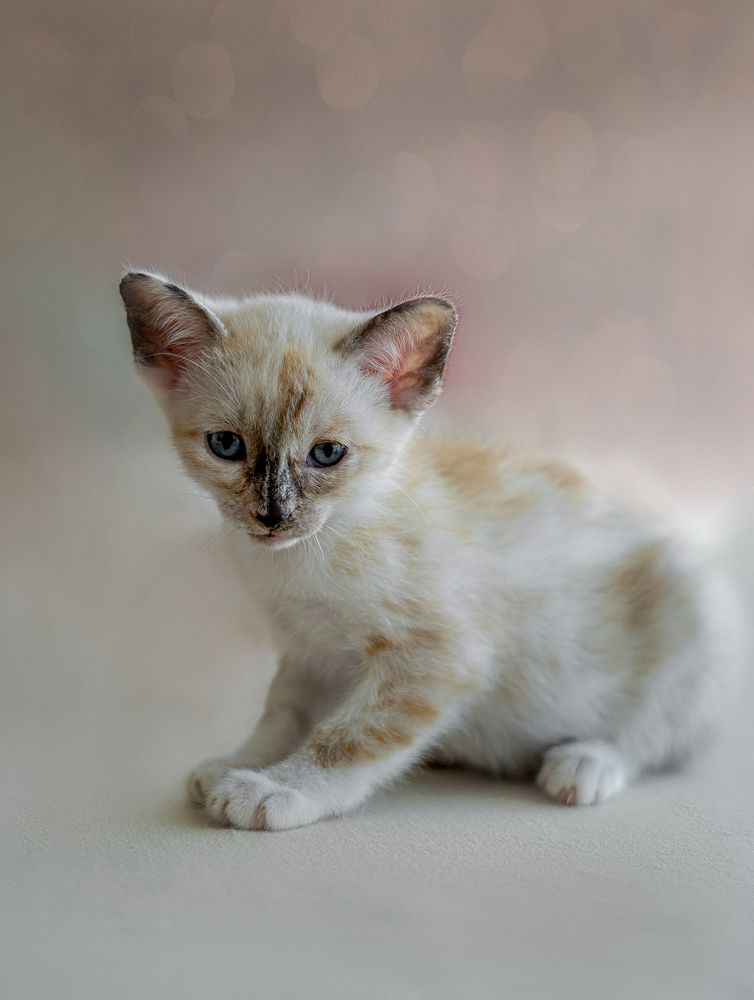 Photograph by Oxana Berezovskaya