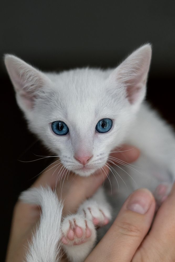 Photograph by Oxana Berezovskaya