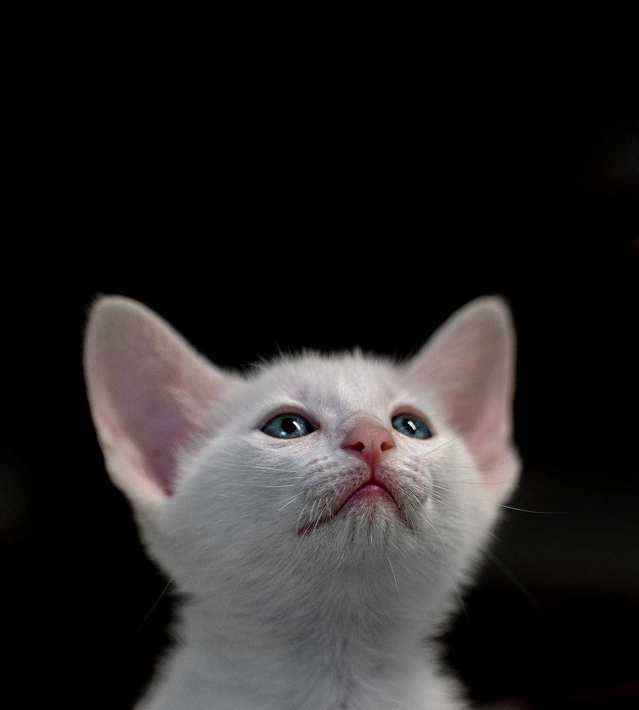 Photograph by Oxana Berezovskaya