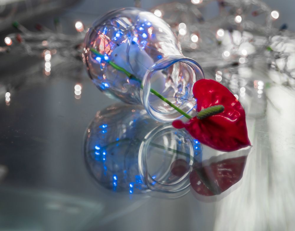 Photograph by Irina Luidinshina