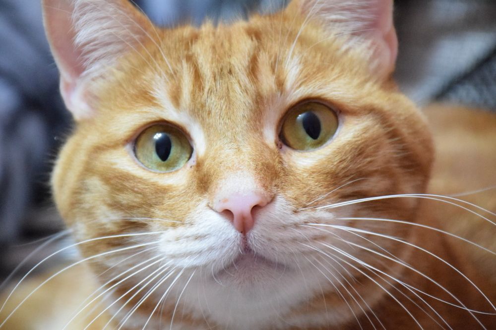 Photograph by Роман Блинов