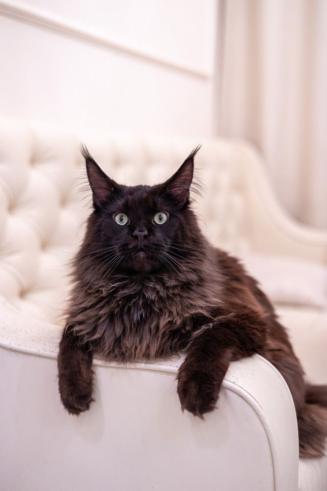 Photograph by Светлана Мнацаканянц