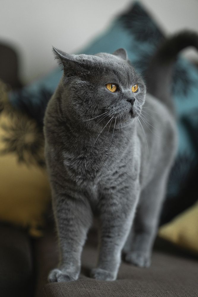 Photograph by Oxana Berezovskaya