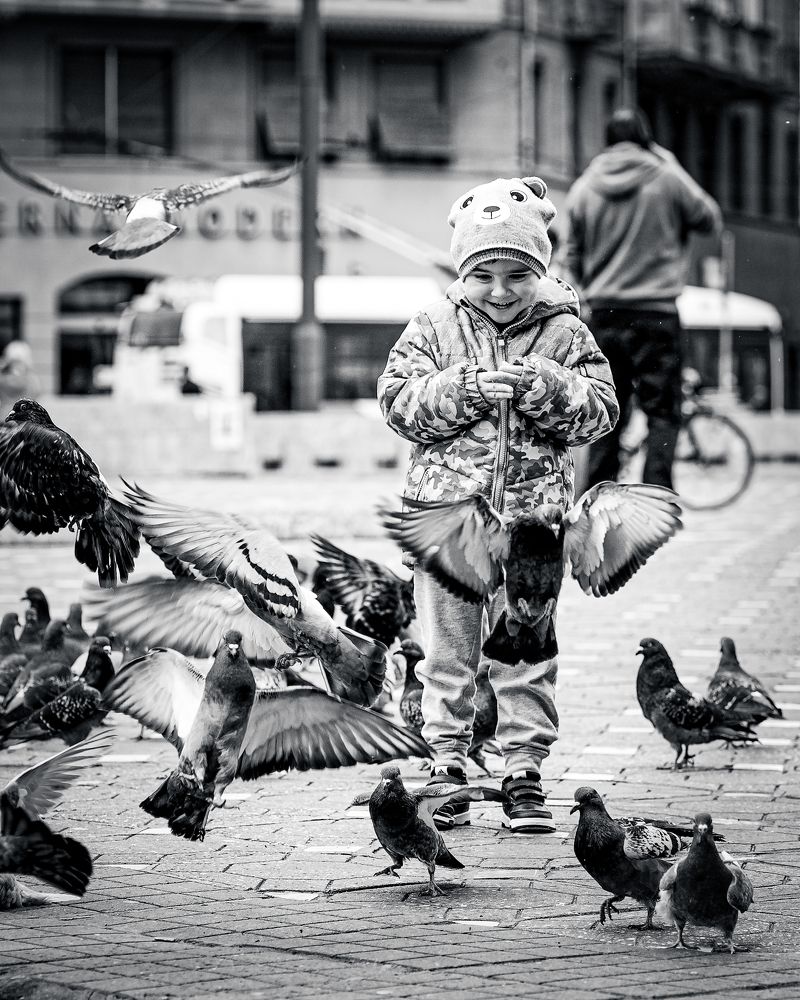 Among the pigeons