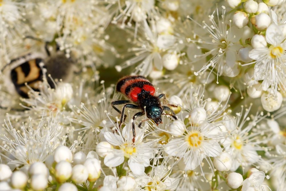 Photograph by Ольга Метлицкая