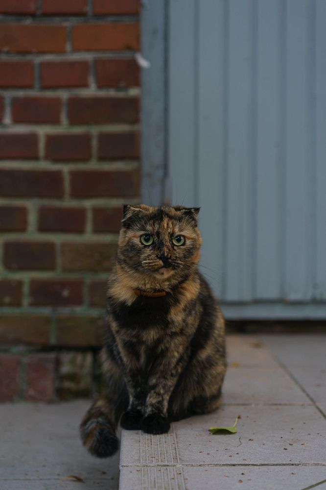 Photograph by Яна Королева