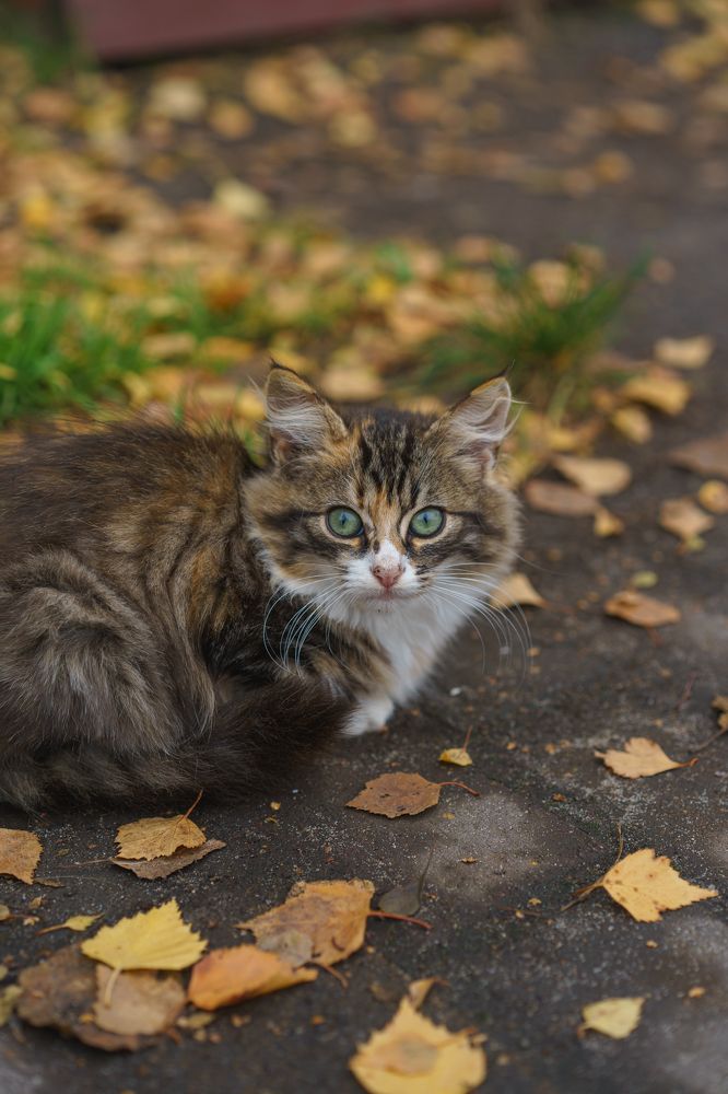 Photograph by Яна Королева