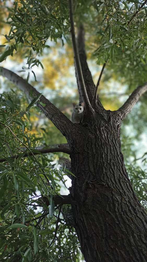 Photograph by Мария Симоненко