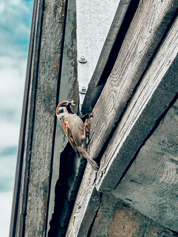 Photograph by Гульнара Шаньгина