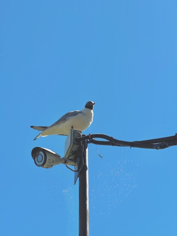 Photograph by Гульнара Шаньгина