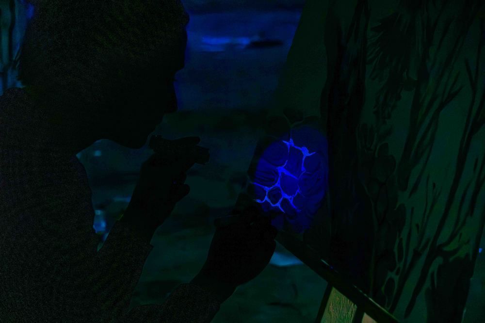 Photograph by Дарий Остахов