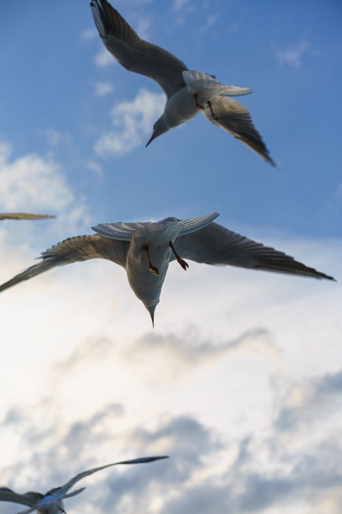 Photograph by Яна Королева