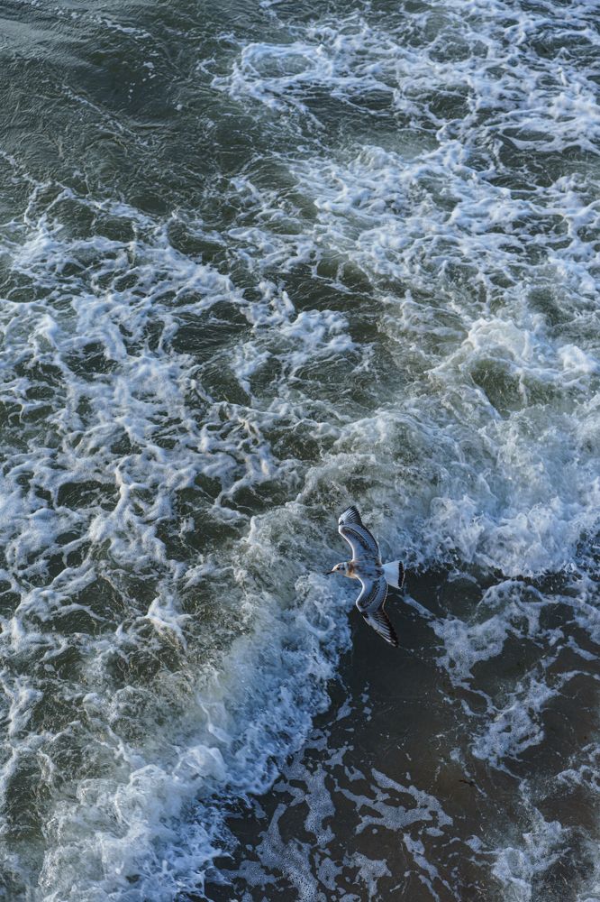 Photograph by Яна Королева