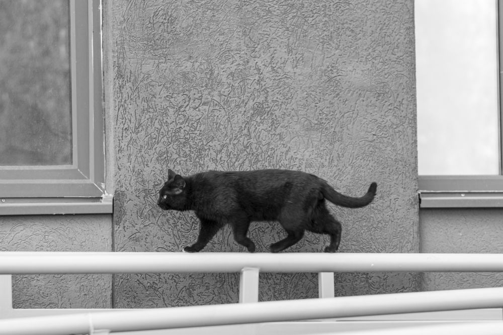 Photograph by Евгений Салаев