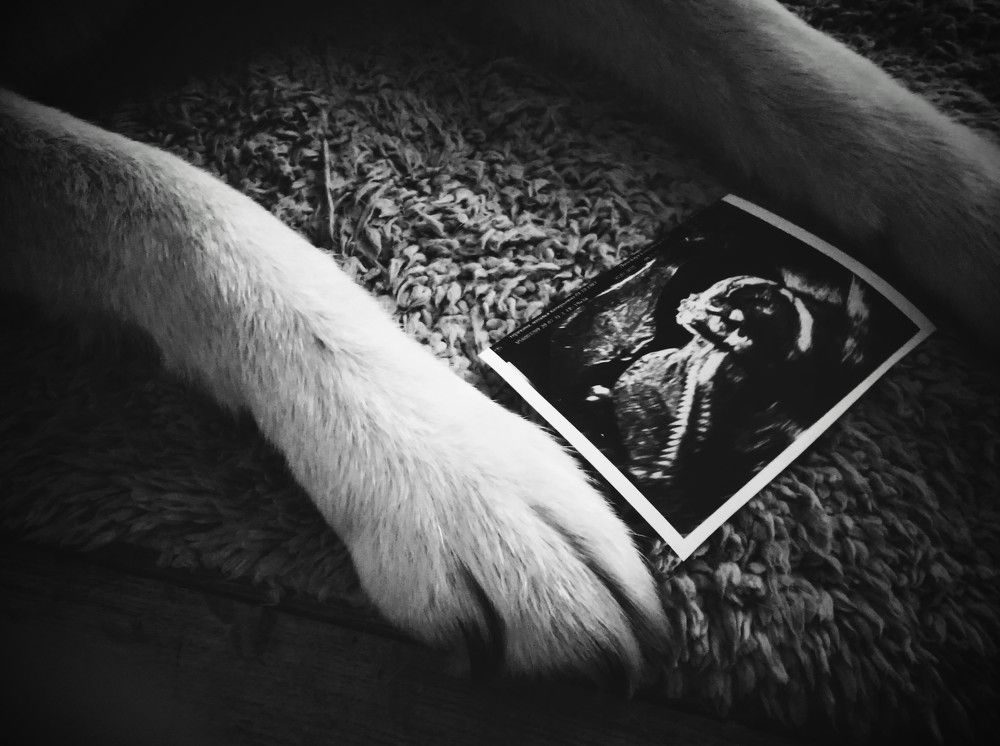 Photograph by Денис Терехин