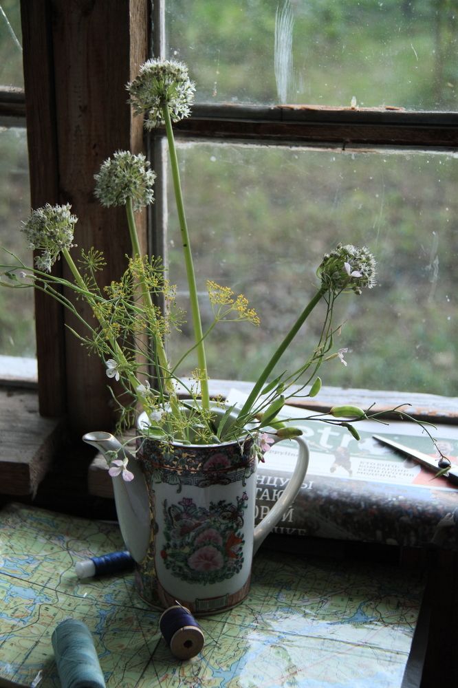 Фотография автора Анастасия Зверева