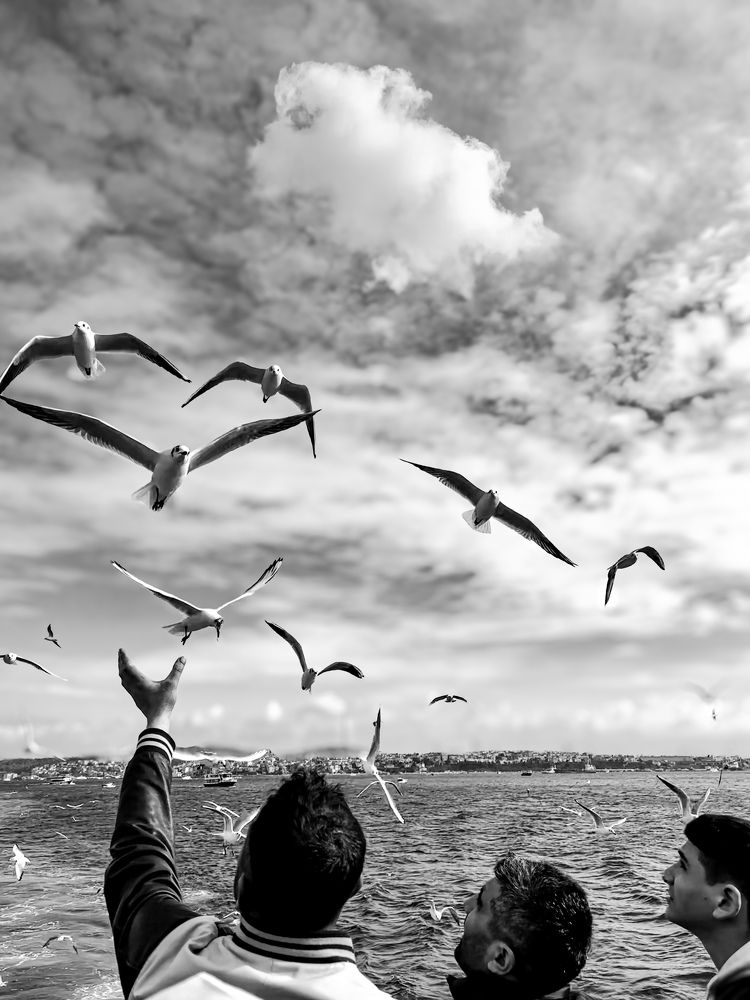 Фотография автора Merve Aruta