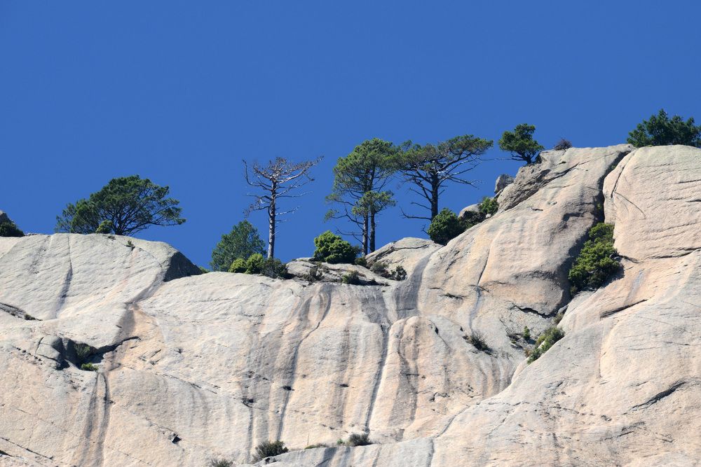 Photograph by Paolo Mola