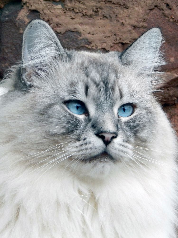 Photograph by Юрий Пучков