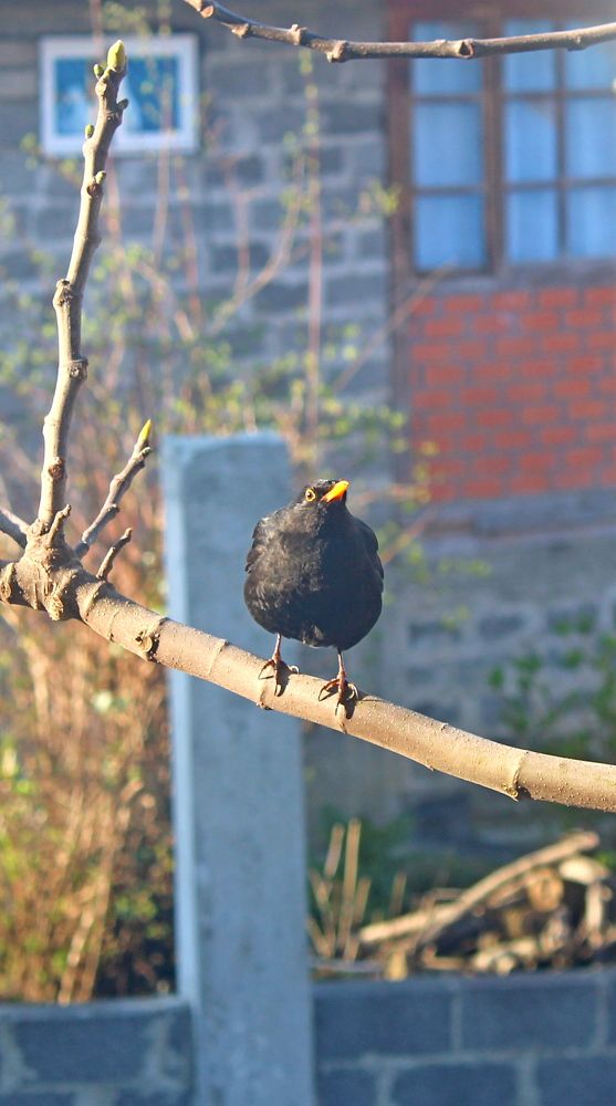 Photograph by Николай Немчанинов