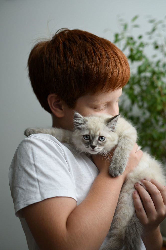 Photograph by Евгения Куценко