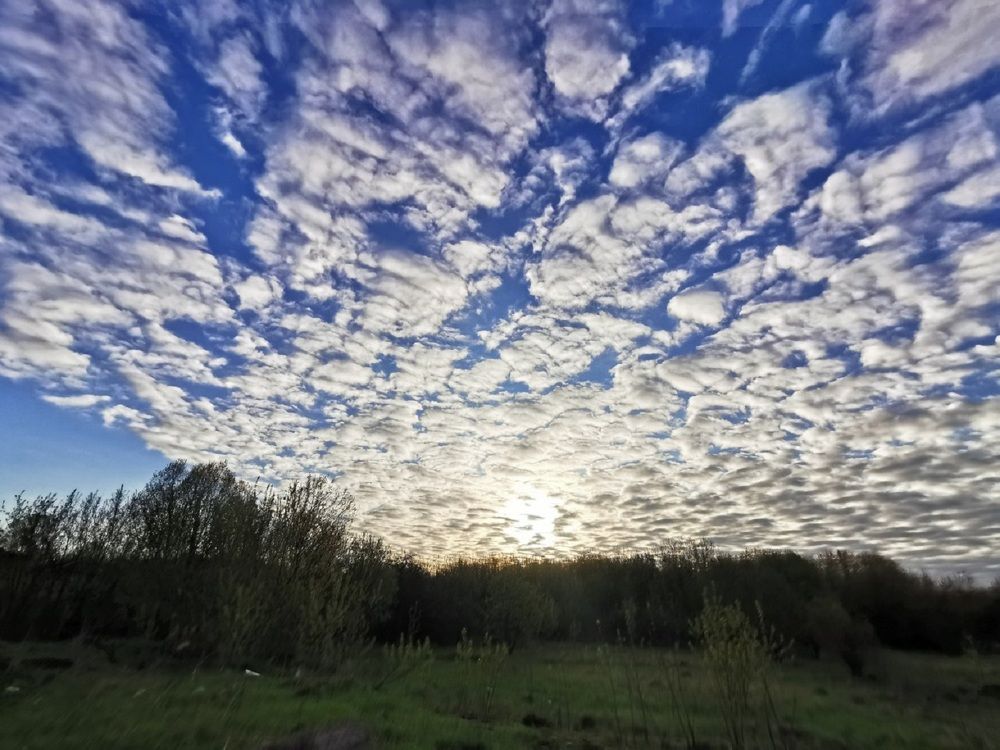 Photograph by Ирина