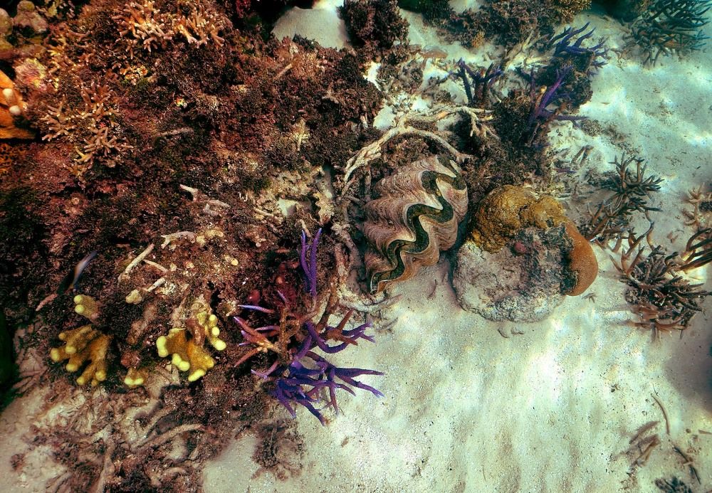 Photograph by Ованес Агарян