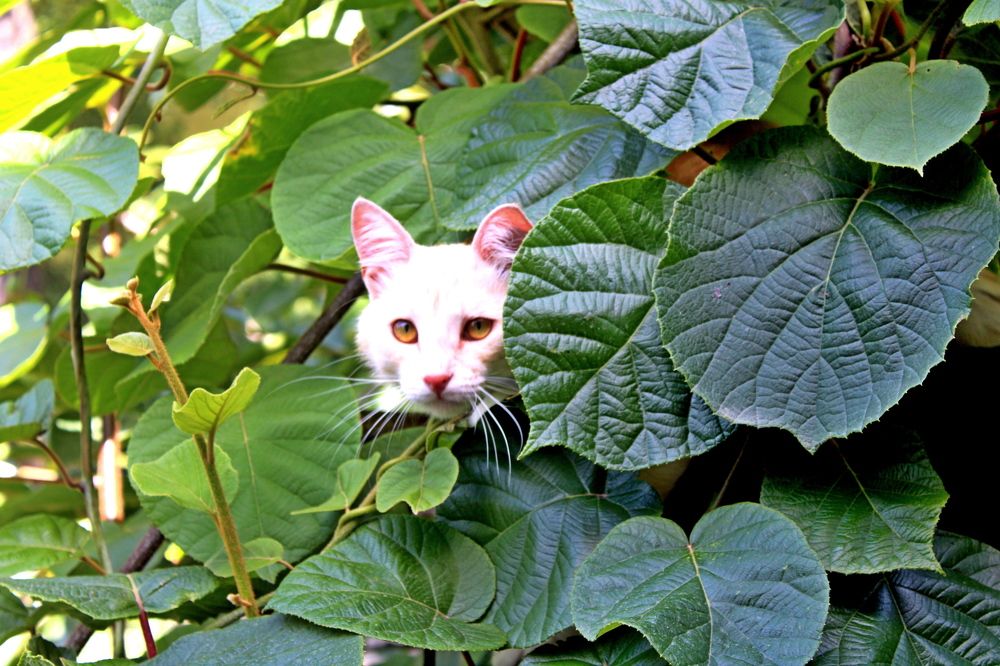 Photograph by Николай Немчанинов