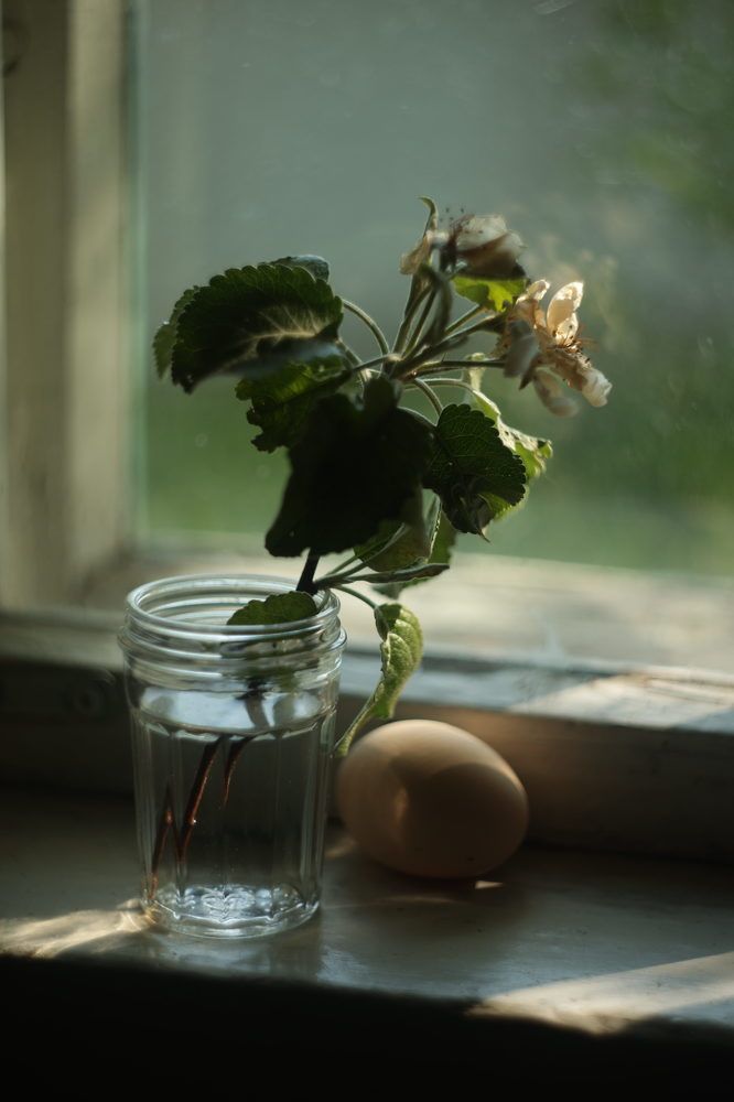 Photograph by Marina Argunova