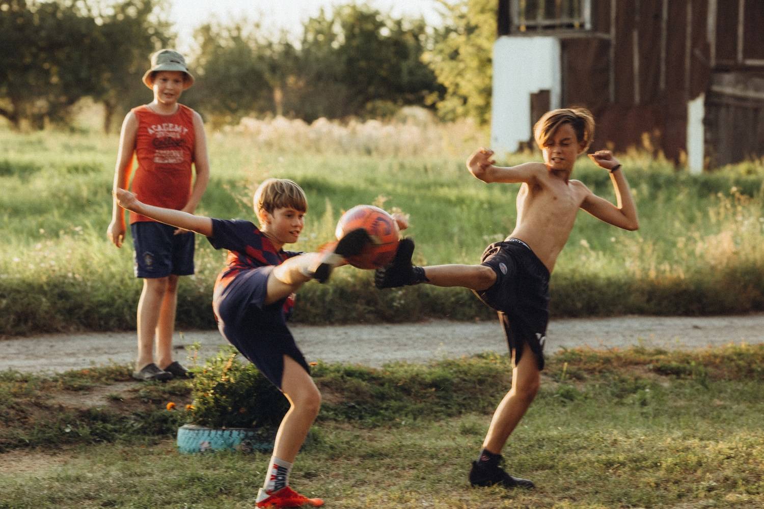 Фотография #10816511