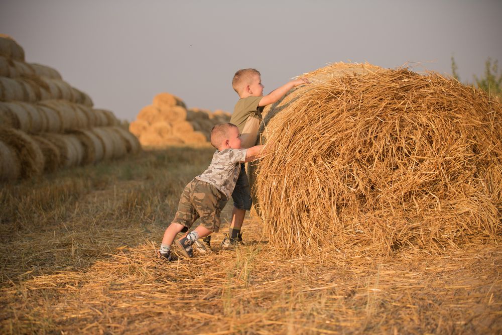 Photograph by Дарья Лисицына