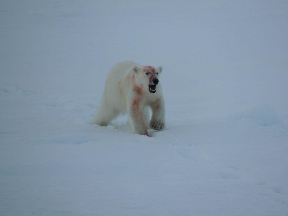 Photograph by Константин Токарев